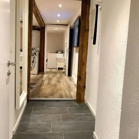 Backyard-Apt., Old Town, 3Min To Bern Station